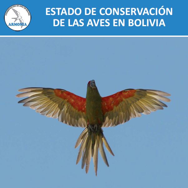 State of Bird Conservation in Bolivia